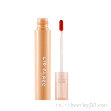 Make -up Nackt benutzerdefinierte Private -Label -Lipgloss wasserdicht